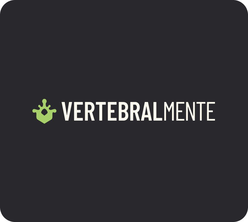 vertebralmente logo esempi applicativi 02